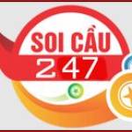 Soi cầu 247 Profile Picture