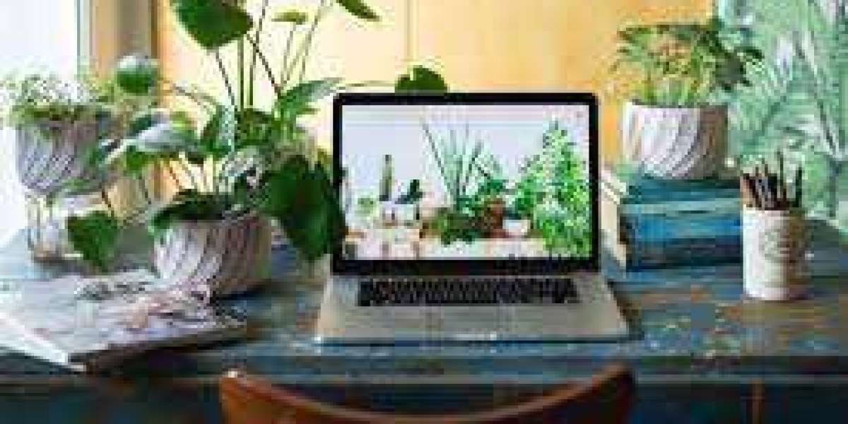 12 Ideal Plants for Your Office Desk