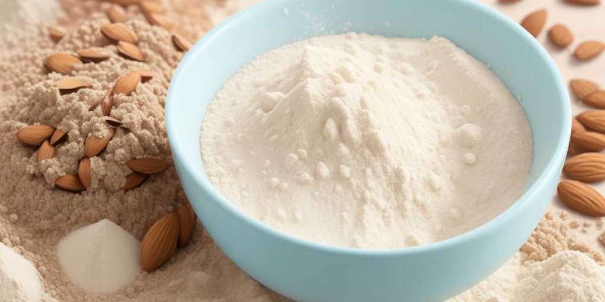 Establishing a Profitable Almond Milk Powder Manufacturing Plant: Business Plan and Machinery