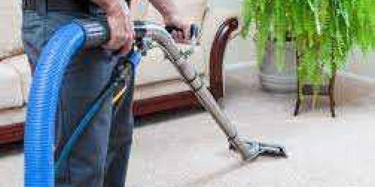 Elevating Home Hygiene with Regular Carpet Cleaning