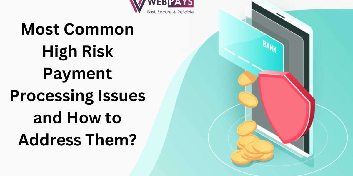 Most Common High Risk Payment Processing Issues and How to Address Them?