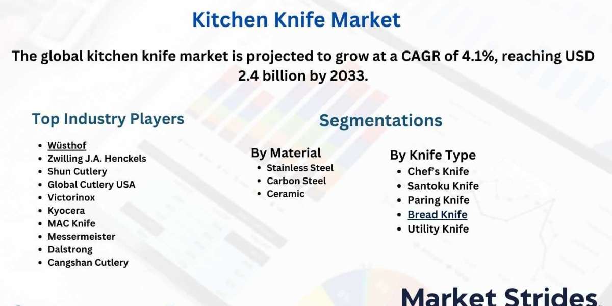 Key Kitchen Knife Market Industry Trends and Projections for Growth Through 2033