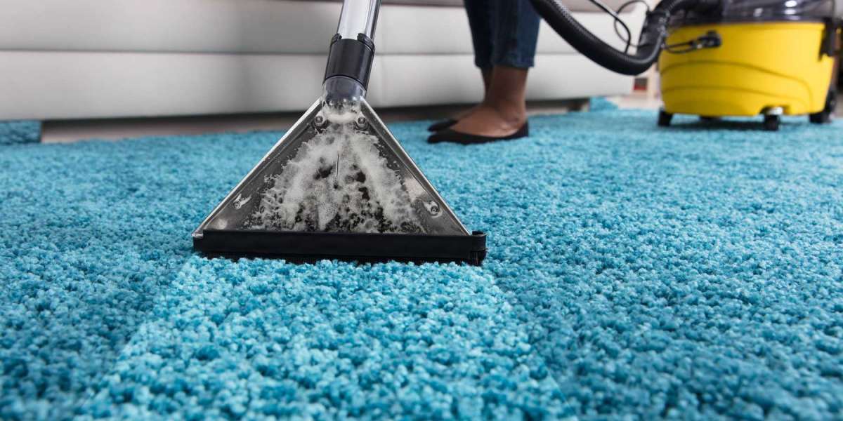 Elevate Your Home’s Comfort and Health with Carpet Cleaning