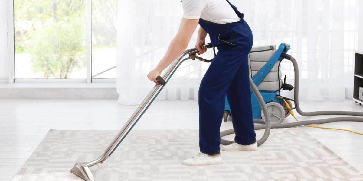 Why Carpet Cleaning Is Essential for a Comfortable Home