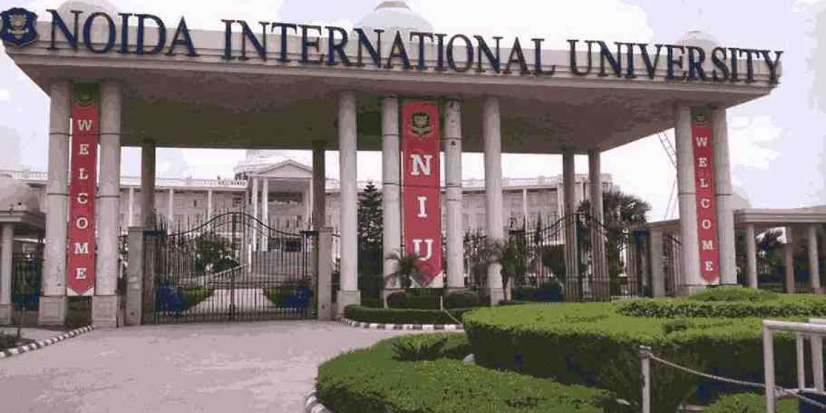 Noida International University: Your Pathway to Success