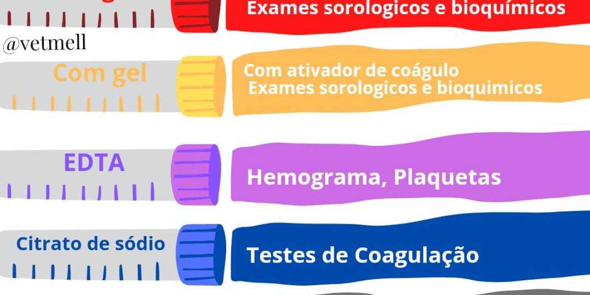 Fosfatase Alcalina em Cães: O Que Esse Exame Revela Sobre a Saúde Hepática do Seu Amigo Peludo?