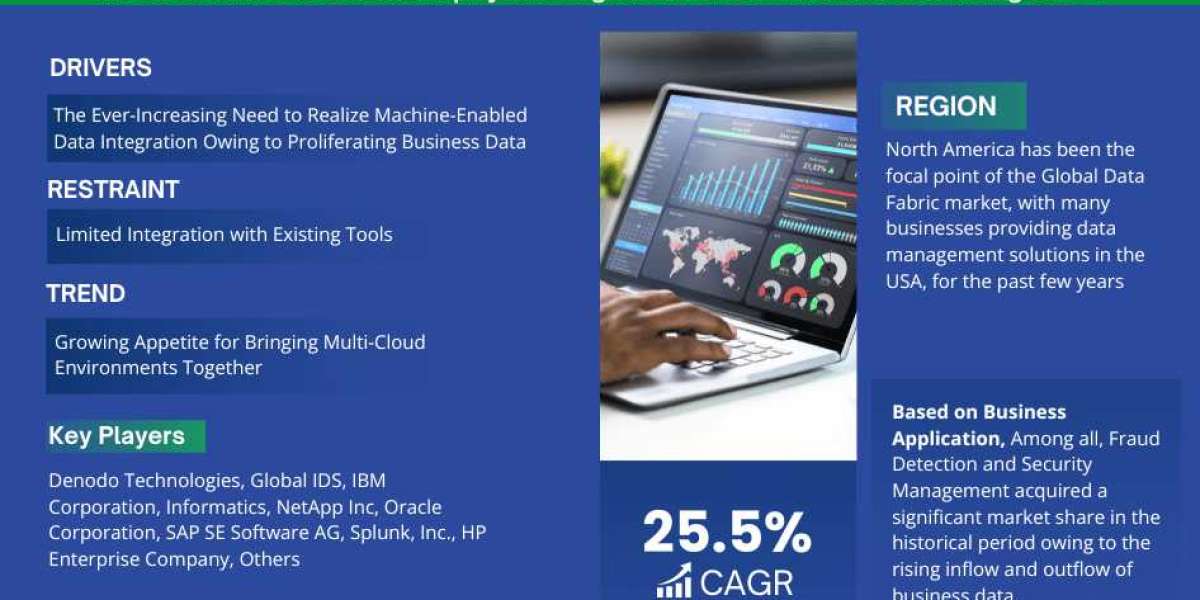 Data Fabric Market Analysis: Size, Dynamics, and Future Opportunities through 2028