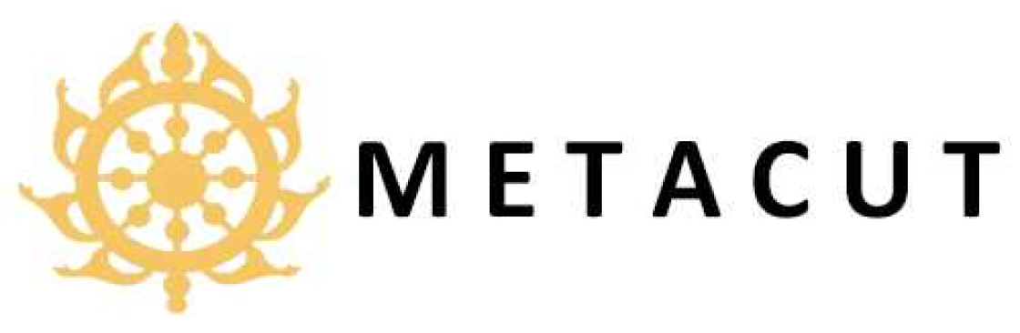 The Metacut Inc Cover Image