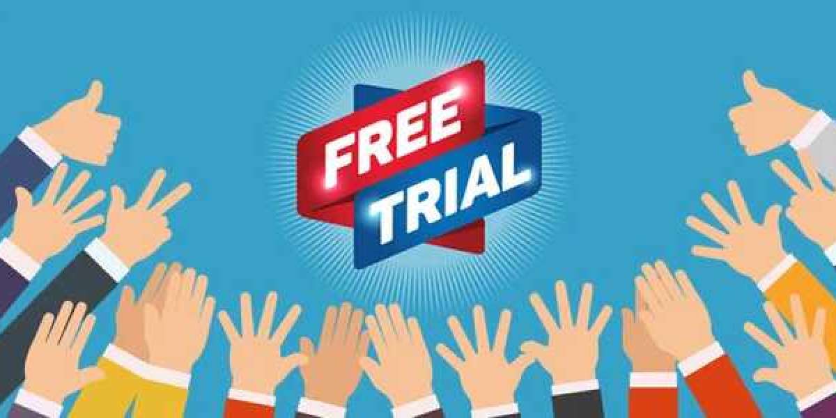 Learn the way I Cured My Free Trial Seo Service In 2 Days