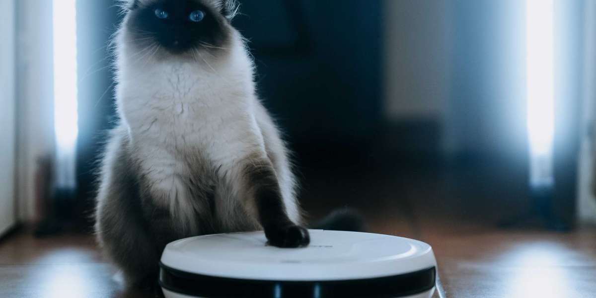 What's Holding Back In The Smart Vacuum Industry?