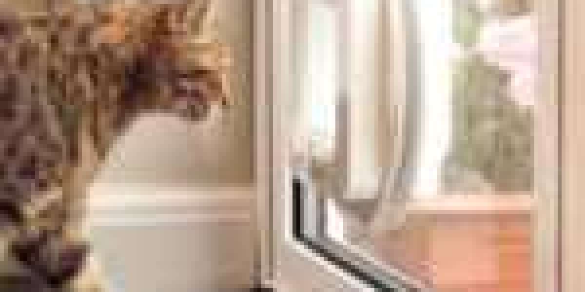 The Reason You Shouldn't Think About Making Improvements To Your Cat Flap Replacement