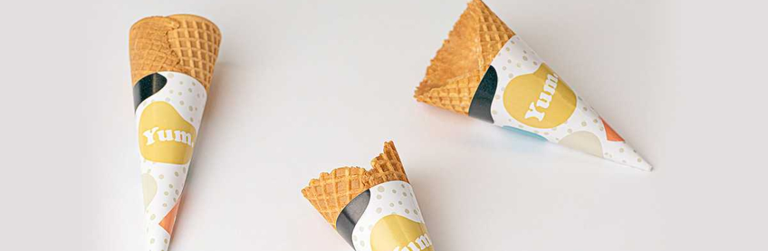 The Cone Sleeve Cover Image