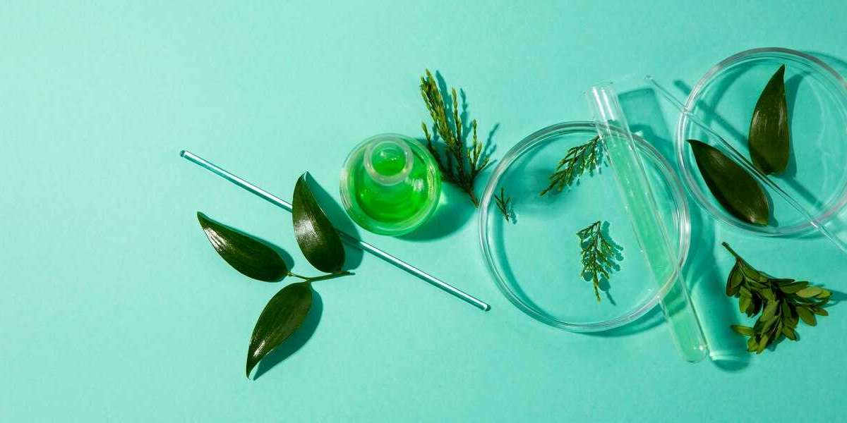 Sustainable Pharmaceutical Packaging Market: Long-Term Growth and Share Expansion Opportunities