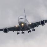Mojo Flight Profile Picture