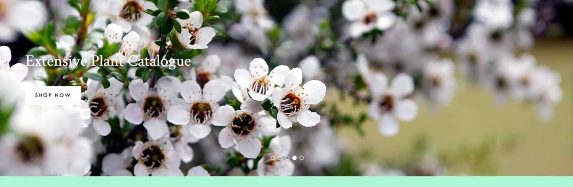 Online Plants Cover Image