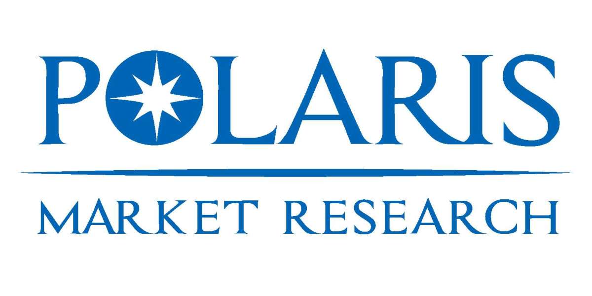 Unlocking the Potential of the Portable Fire Extinguisher Market:Key Insights into Market Size and Share