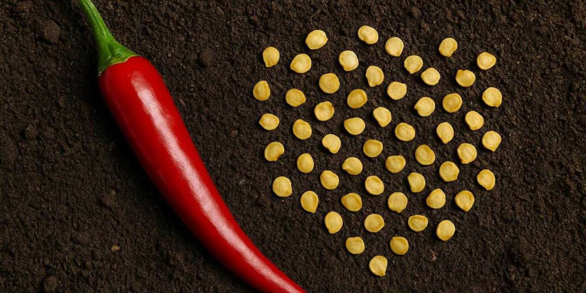 Are Traditional Chilli Seeds Still a Good Option for Today’s Farmers?