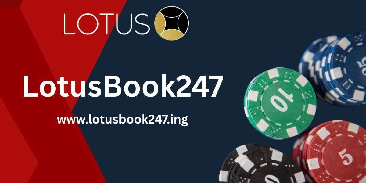 Card Games at Dawn: Why LotusBook247 Attracts Early Risers