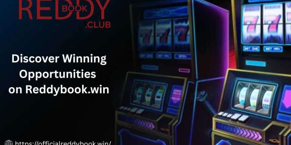 Discover Winning Opportunities on Reddybook.win