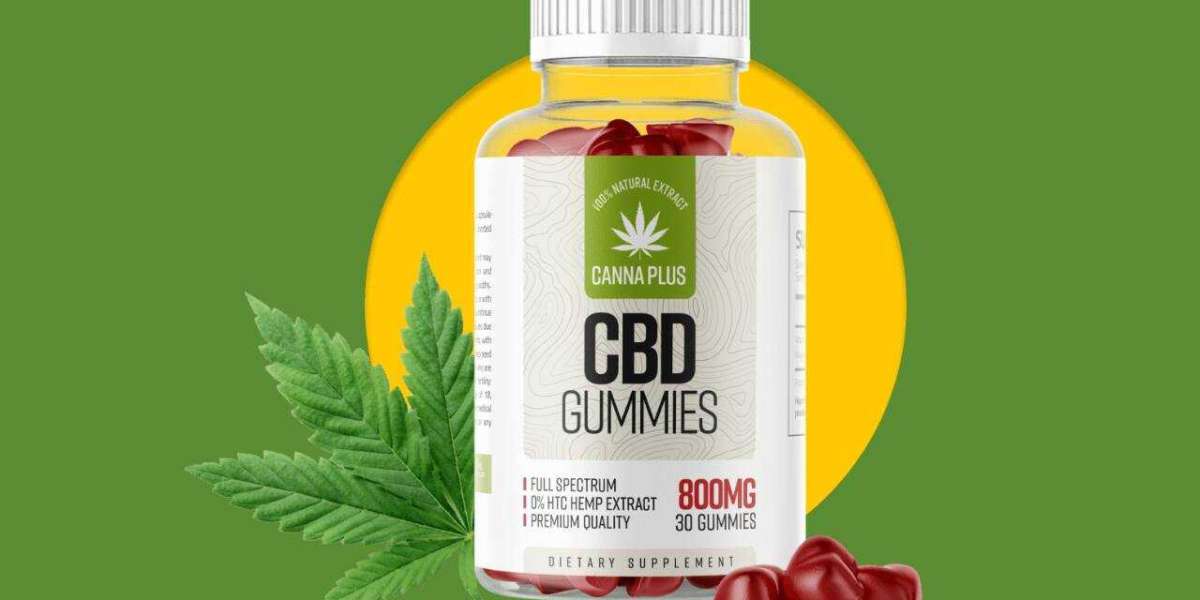 Les produits Canna Plus CBD sont-ils légaux en France ?
