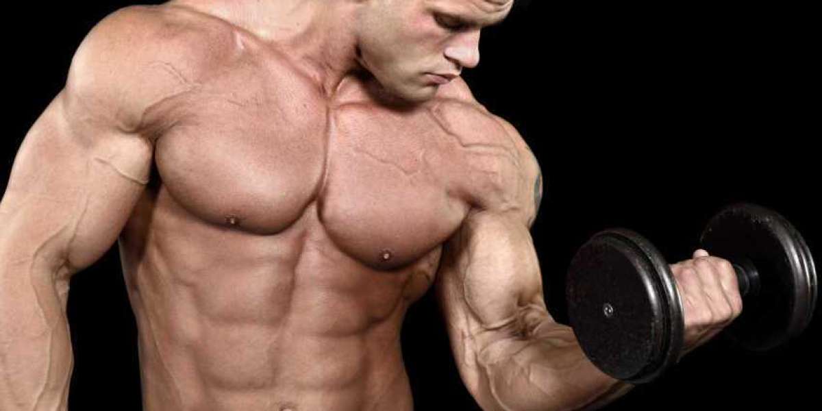 Best Sarms Updated (2025) Review